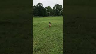 Luka Playing Frisbee