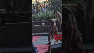 CISF dog parformance #airport #cisf #mumbai #viralshort #yshortsviral #lebradorlovers #force