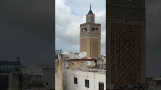 SHOPPING in the Medina of TUNIS