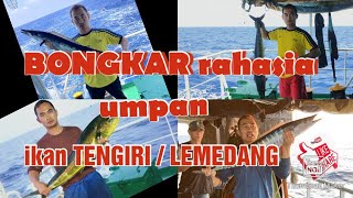 umpan ikan tengiri paling ampuh