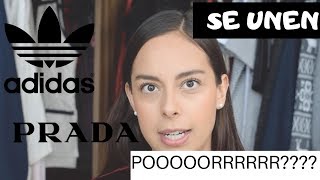 ¿Por qué Adidas y Prada se Unen?.- Diana Perry