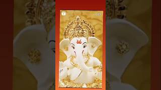 Happy ganesh chaturthi 🙏👑💗#ganeshchaturthi #ganpati #trendingshorts #viralvideo #ytshorts #shorts