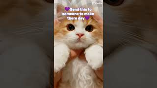 💜Send this to someone to make there day💜