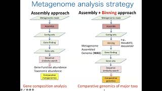 4.1_4 Shotgun metagenomic analysis (2) MAG