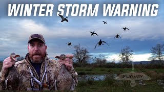 Storm Pushed DUCKS into our DECOY SPREAD (CLOSE RANGE SHOOTING)