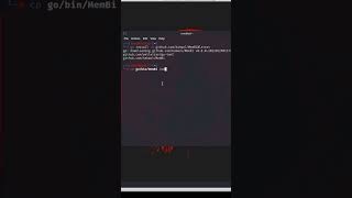 How to install MemBi in Kali Linux#shorts