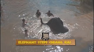 Elephant Steps Chiang Rai