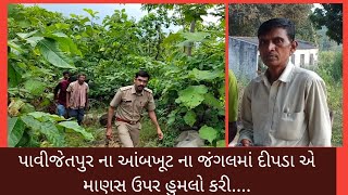 પાવીજેતપુર ના આંબાખૂટ ગામે દીપડા એ માણસ ઉપર હુમલો કરી મોત ને ઘાટ ઉતારી દેતાં ચકચાર