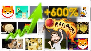 My Shiba Inu Coin is up 600%! Cryptocurrency Investing