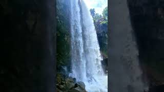 #nature #travel #mountains #naturelovers #trekking #youtubeshorts #travelvlog #amarkantak