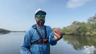 Confira um ótimo custo benefício para pesca de jig head