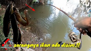 MAKIN LAMA MAKIN SERU MANCING LELE STRIKE TERUS