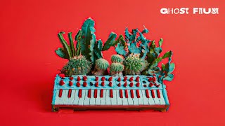 Peaceful Cactus & Birds: Relaxing Electronic & Analog Soundscapes [AMBIENT MUSIC 1 Hour]