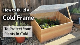 How to Build a Cold Frame to Protect your Plants- An Easy DIY