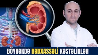 BÖYRƏK XƏSTƏLİKLƏRİ hansılardır? / Rüfət Əsədbəyli