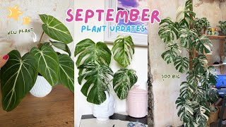 September Plant Updates