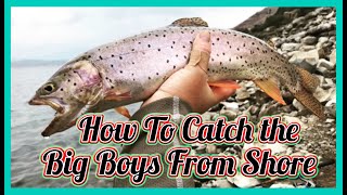 Strawberry Reservoir--How To Catch The Big Boys From Shore