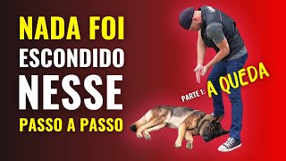 COMANDO MORTO - PASSO A PASSO para o exercício VENCEDOR do DESAFIO - PARTE 1: A QUEDA