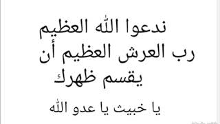 طعن المجرم الأفَّاك خالد بن عبد الرحمان المصري في العلامة ربيع المدخلي حفظه الله