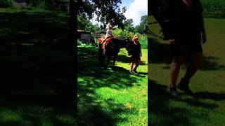 my brother on my grandpas horse!(6 yrs ago) #fypシ゚viral #horse #equestrain