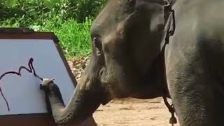 THIS ELEPHANT🐘 IS A TALENTED ARTIST | 👍ANIMALS