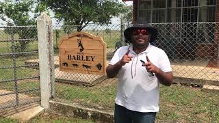 Mauricio en Hato Barley