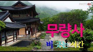 빗소리 ASMR [THEME] 만수산 무량사 - 비긋는 시간