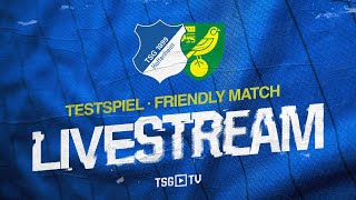 🔴 | Testspiel LIVE | TSG Hoffenheim – Norwich City FC