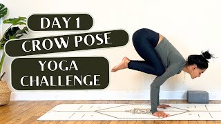 Yoga Challenge | Crow Pose Vinyasa Yoga | Day 1 Arm Balance Yoga Flow