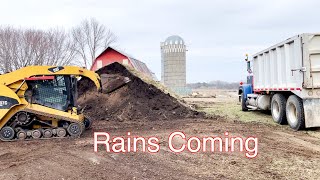 New Celebrity Chickens!  Can I Move This Dirt Before It Rains?!?