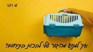 הגור שלכם צורח עלכם כל היום והלילה?