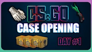 OPENING CS:GO CASES TIL A KNIFE APPEARS DAY #1 #csgocaseopening