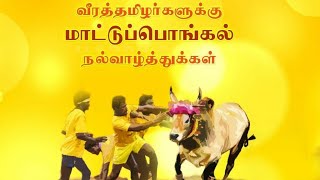 மாட்டுப்பொங்கல் 2021// pongal WhatsApp Status// Mattu Pongal Status/ Pongal greeting song in Tamil