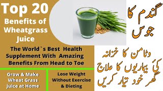 Wheat Grass Juice Top 20 Benefits | How I Grew Wheat Grass? | Wheat Grass Juice | Healthcare Remedy