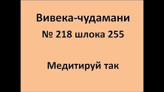 ВивекаЧудамани курс Свамини Видьянанды Сарасвати 218 шлока 255 Медитируй так