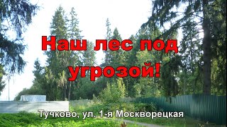 Наш лес под угрозой! Тучково, 1-я Москворецкая