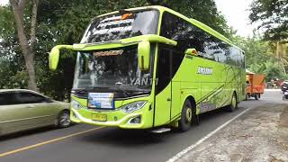 BUS ARTIS TELOLET BASURI MMJ TRANS,FLAMBOYAN,RR TRANS,ABIMANYU HOLIDAY,MOONEYES,REJEKI WISATA,CS TRA