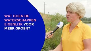 Waterbazenvraag: Wat doen de waterschappen voor meer groen?