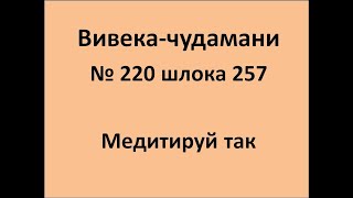 ВивекаЧудамани курс Свамини Видьянанды Сарасвати 220 шлока 257 Медитируй так