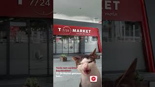 Açlıktan bayılacakken T7/24 Market'e denk gelmek mii?