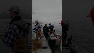 Ever wonder what it would be like to take a bass rod deep sea fishing? Now you know! #fish #alaska