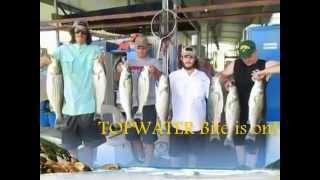 TOPWATER Bite on Lake Texoma!.avi