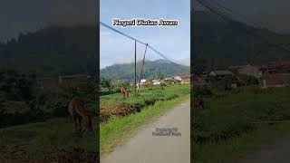 NEGERI DIATAS AWAN 😍 #Short #Shorts #VideoShort #VideoShorts #Viral #Fypage #Gayo #Takengon