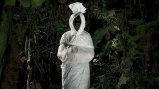 POCONG FREE FLY