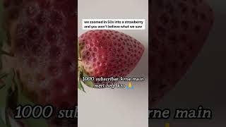 watch till end how we zoomed a strawberry #youtubeshorts #goodmorning #morning #healthy #funny