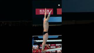 WANG Zongyuan's Great Dive #diving #diver #WANGZongyuan #roadtoparis2024