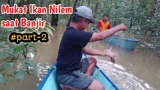 Mukat Ikan Nilem saat Banjir. DR-004. #part-2