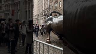 Touro de Wall Street New York #youtube #shortsvideo #shorts #portugal #brasil #nyc #manhattan