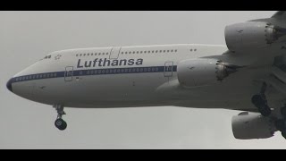 Lufthansa Retro 747-8 Landing at Chicago O'Hare