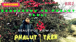 Sandakphu to Phalut Trek | Sandakphu Phalut Trek - Aal Route | Vlog 2